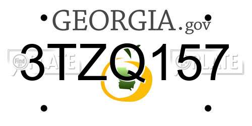 3TZQ157 Georgia License Plate