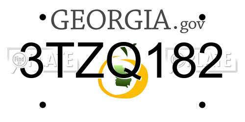 3TZQ182 Georgia License Plate