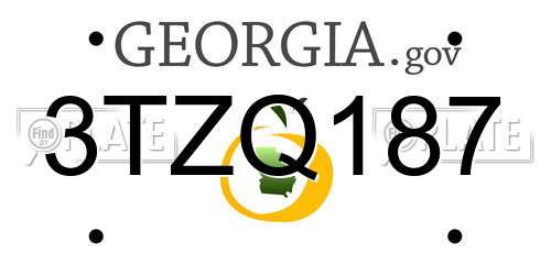 3TZQ187 Georgia License Plate