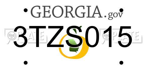 3TZS015 Georgia License Plate
