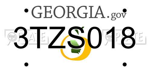 3TZS018 Georgia License Plate