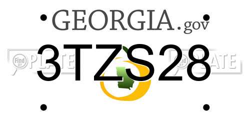 3TZS28 Georgia License Plate