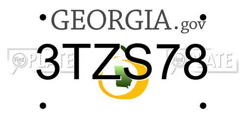 3TZS78 Georgia License Plate