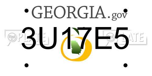 3U17E5 Georgia License Plate