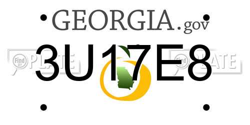 3U17E8 Georgia License Plate
