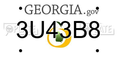 3U43B8 Georgia License Plate