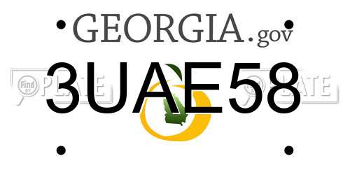 3UAE58 Georgia License Plate