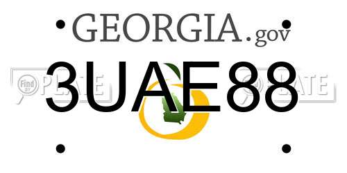 3UAE88 Georgia License Plate