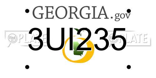 3UI235 Georgia License Plate