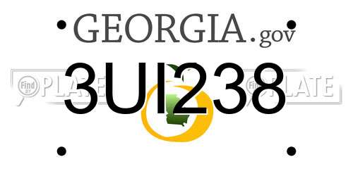 3UI238 Georgia License Plate