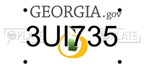 3UI735 Georgia License Plate