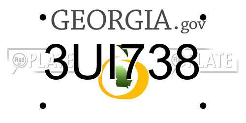 3UI738 Georgia License Plate