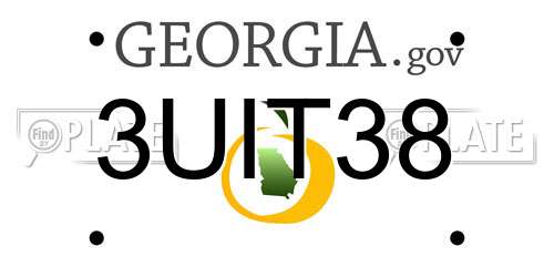 3UIT38 Georgia License Plate