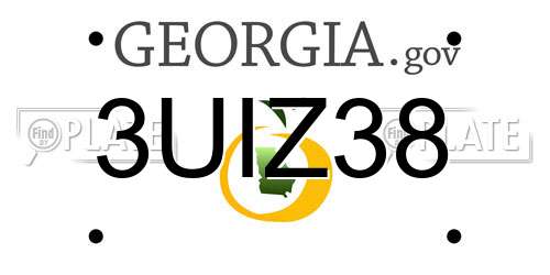 3UIZ38 Georgia License Plate