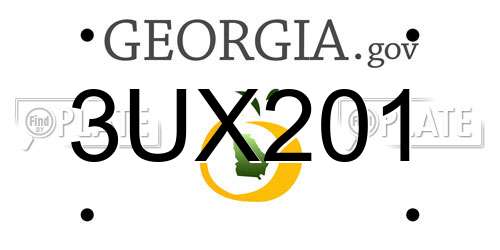 3UX201 Georgia License Plate