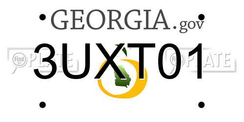 3UXT01 Georgia License Plate