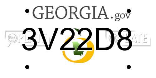 3V22D8 Georgia License Plate
