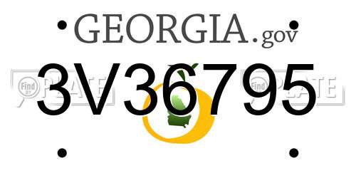 3V36795 Georgia License Plate