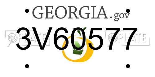 3V60577 Georgia License Plate