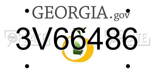 3V66486 Georgia License Plate