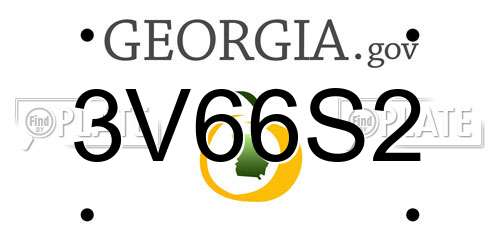 3V66S2 Georgia License Plate