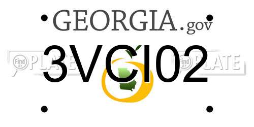 3VCI02 Georgia License Plate