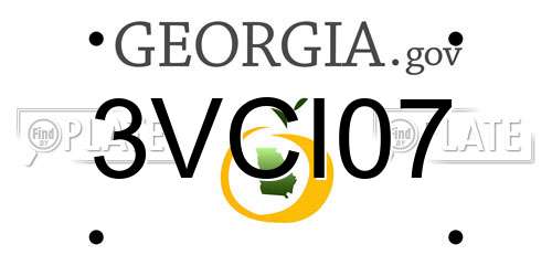 3VCI07 Georgia License Plate