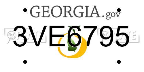 3VE6795 Georgia License Plate