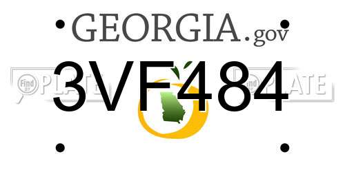 3VF484 Georgia License Plate