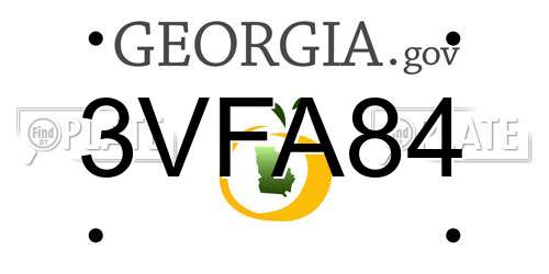 3VFA84 Georgia License Plate