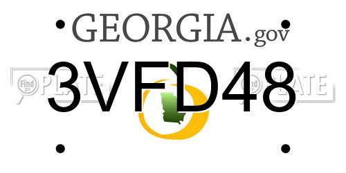 3VFD48 Georgia License Plate