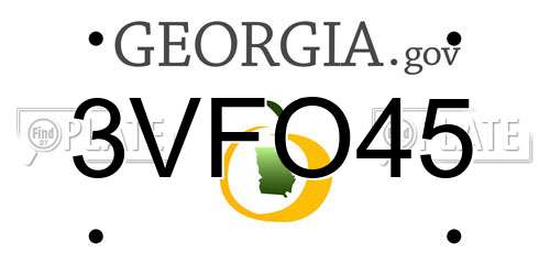 3VFO45 Georgia License Plate