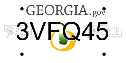 3VFQ45 Georgia License Plate