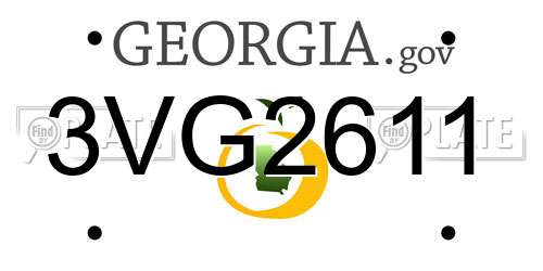 3VG2611 Georgia License Plate