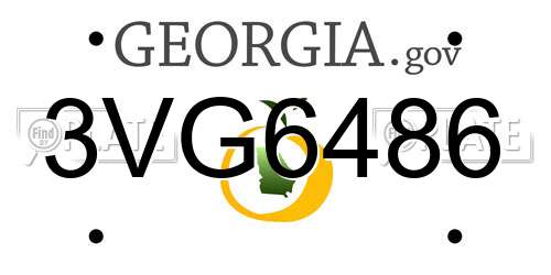 3VG6486 Georgia License Plate
