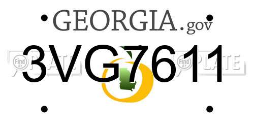 3VG7611 Georgia License Plate