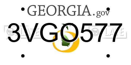 3VGO577 Georgia License Plate