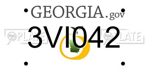 3VI042 Georgia License Plate