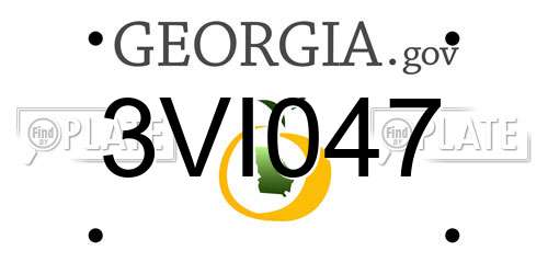 3VI047 Georgia License Plate