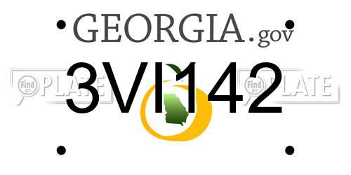 3VI142 Georgia License Plate