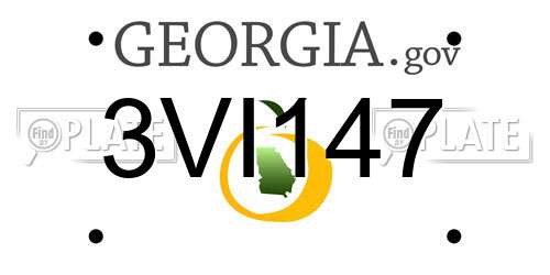 3VI147 Georgia License Plate