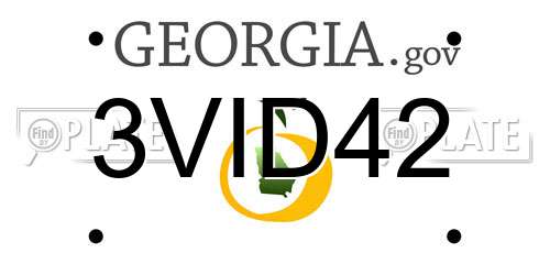 3VID42 Georgia License Plate