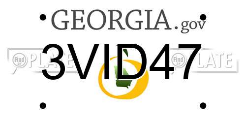 3VID47 Georgia License Plate