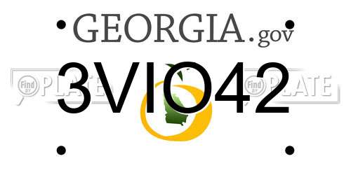 3VIO42 Georgia License Plate