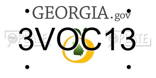 3VOC13 Georgia License Plate