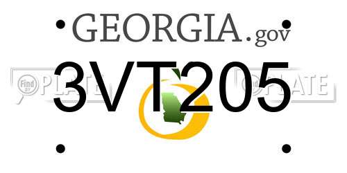 3VT205 Georgia License Plate