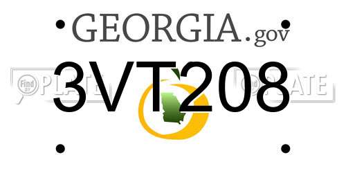 3VT208 Georgia License Plate
