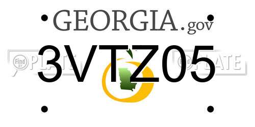 3VTZ05 Georgia License Plate