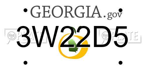3W22D5 Georgia License Plate