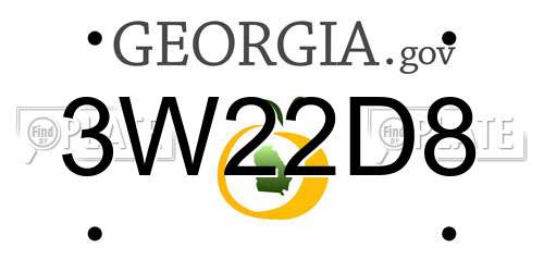3W22D8 Georgia License Plate